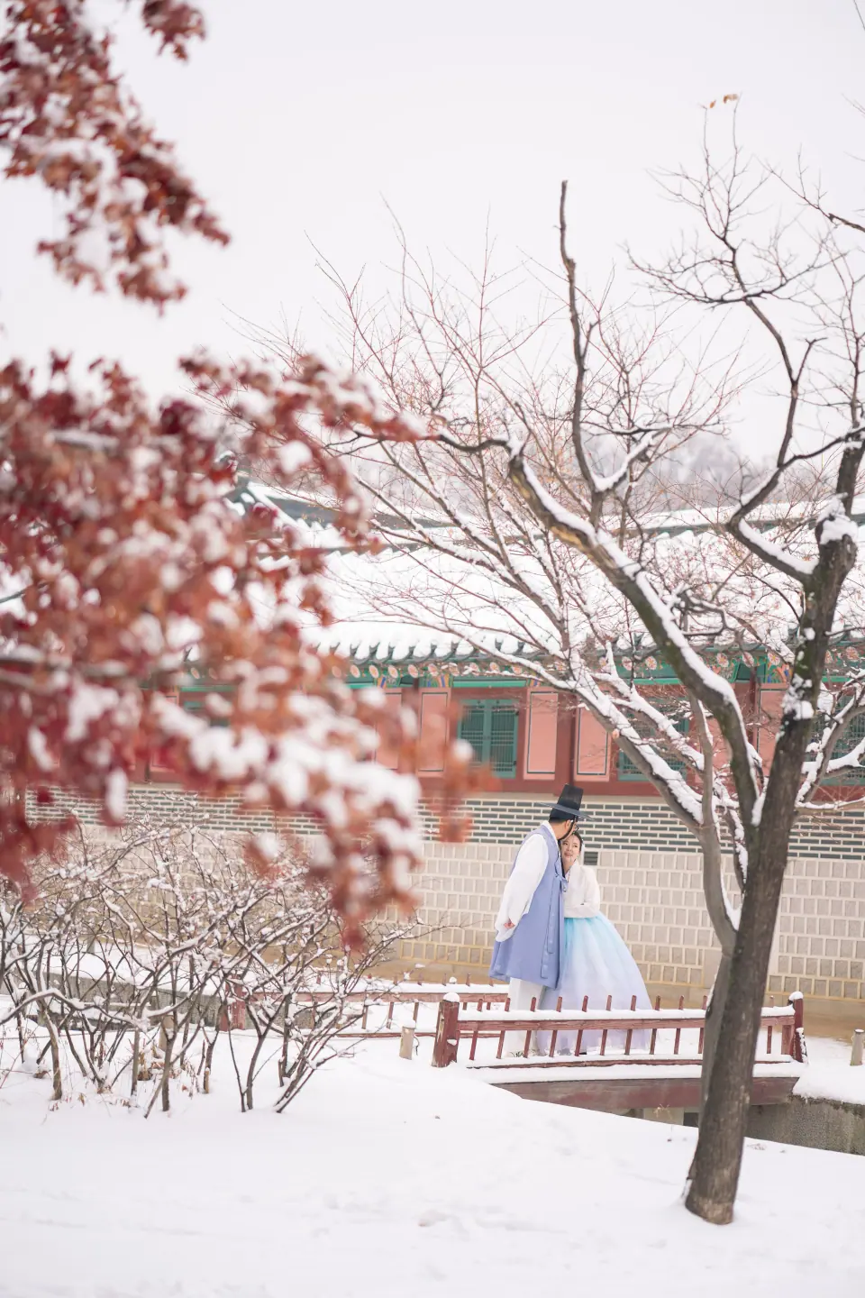 Snow on a red-leafed tree above a figure in hanbok