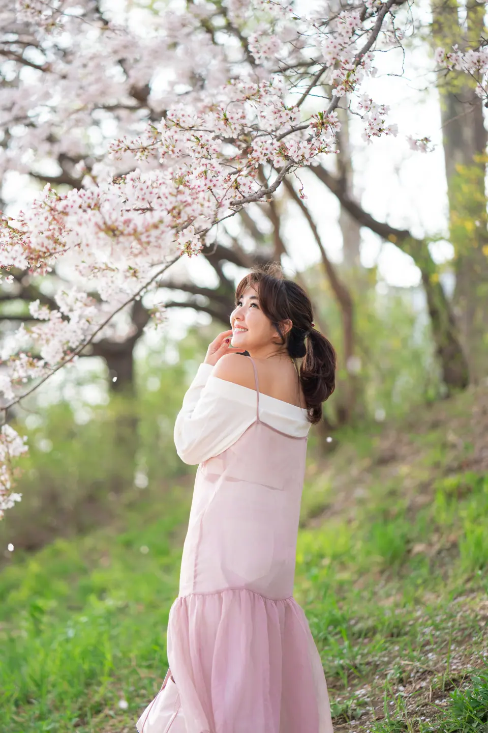 A woman in a pink dress on a grassy slope under cherry blossoms