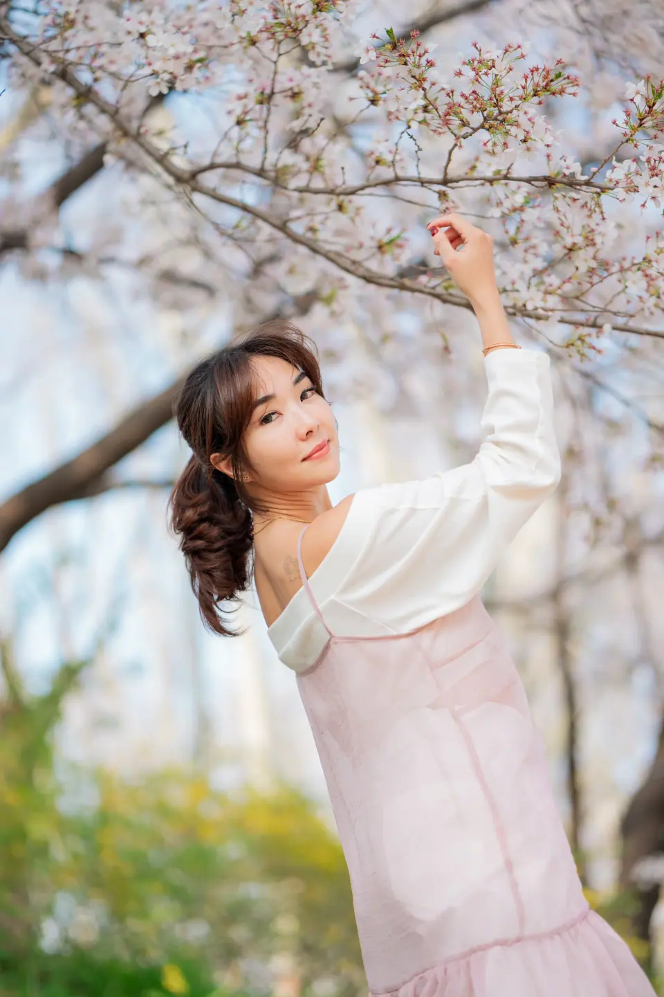 A woman in a pink dress reaching for a cherry blossom branch