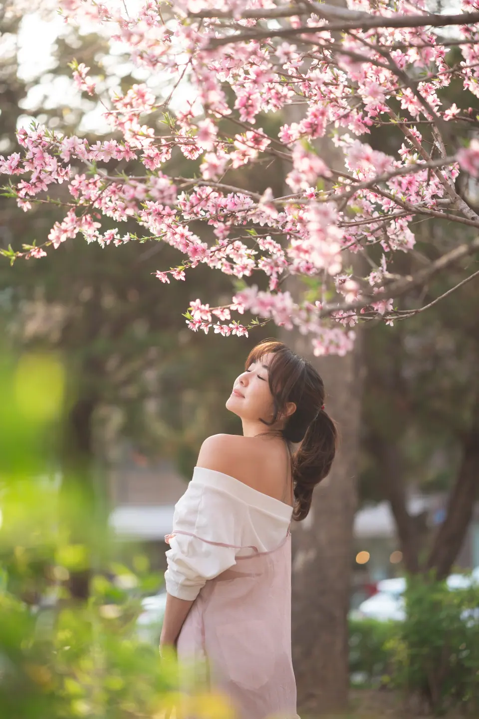 A woman in pink looking up at cherry blossoms